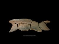 藏品(陶罐)的圖片