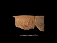 藏品(陶罐)的圖片