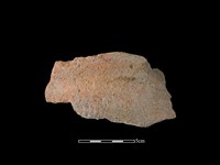 藏品(陶罐)的圖片