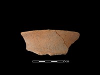 藏品(陶罐)的圖片