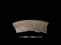 藏品(陶罐)的圖片