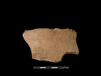 藏品(陶罐)的圖片