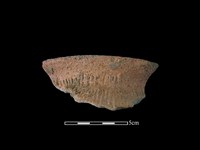 藏品(陶罐)的圖片