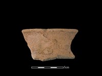 藏品(陶罐)的圖片