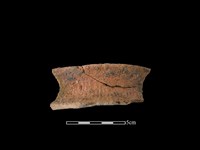 藏品(陶罐)的圖片