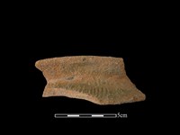 藏品(陶罐)的圖片