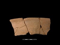 藏品(陶罐)的圖片