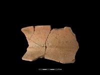 藏品(陶罐)的圖片