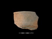 藏品(陶罐)的圖片