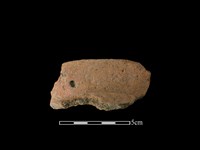 藏品(陶罐)的圖片