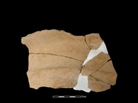 藏品(陶盆)的圖片