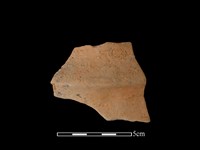 藏品(陶缽)的圖片