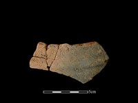 藏品(陶缽)的圖片