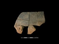 藏品(陶缽)的圖片