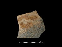 藏品(陶缽)的圖片