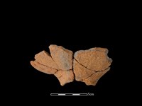 藏品(陶缽)的圖片