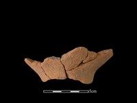 藏品(陶缽)的圖片