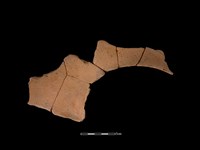 藏品(連杯形器)的圖片