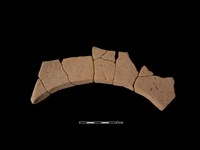 藏品(連杯形器)的圖片