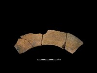 藏品(連杯形器)的圖片