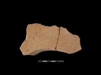 藏品(連杯形器)的圖片