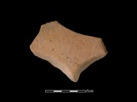 藏品(連杯形器)的圖片