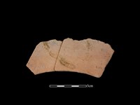 藏品(連杯形器)的圖片