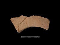 藏品(連杯形器)的圖片