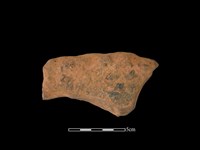 藏品(連杯形器)的圖片