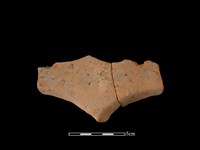 藏品(連杯形器)的圖片