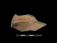 藏品(連杯形器)的圖片