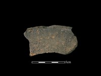 藏品(連杯形器)的圖片