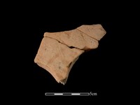 藏品(連杯形器)的圖片