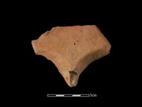 藏品(連杯形器)的圖片