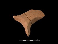 藏品(連杯形器)的圖片