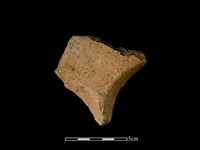 藏品(連杯形器)的圖片