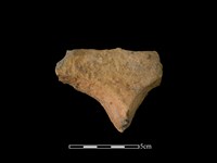 藏品(連杯形器)的圖片