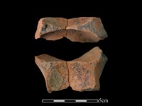 藏品(連杯形器)的圖片