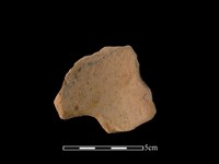 藏品(連杯形器)的圖片