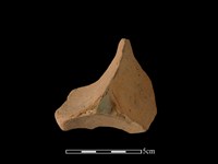 藏品(連杯形器)的圖片