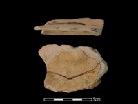 藏品(連杯形器)的圖片