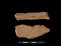 藏品(連杯形器)的圖片