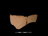 藏品(連杯形器)的圖片