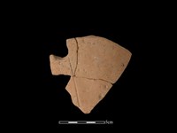 藏品(連杯形器)的圖片