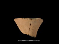 藏品(連杯形器)的圖片