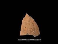 藏品(連杯形器)的圖片