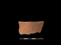 藏品(連杯形器)的圖片