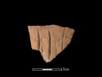 藏品(連杯形器)的圖片