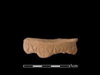 藏品(連杯形器)的圖片