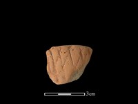 藏品(連杯形器)的圖片